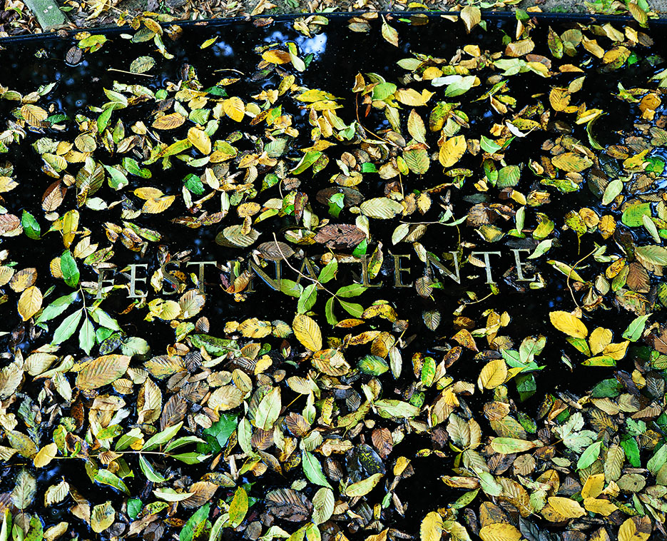 Festina_Jasinski©MaisondErasme&Beguinage Festina_Jasinski©MaisondErasme&Beguinage