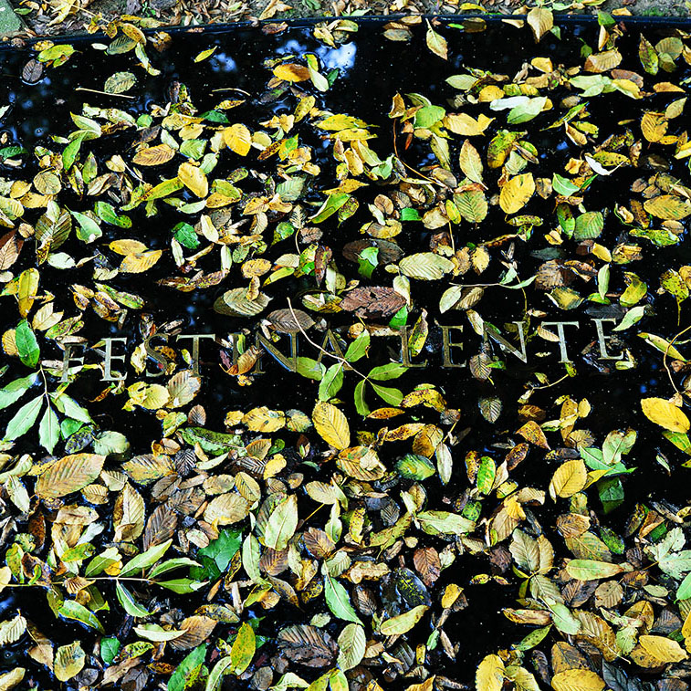 Festina_Jasinski©MaisondErasme&Beguinage
