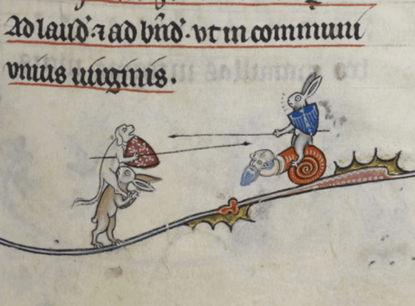 Image COMM Polarisatie